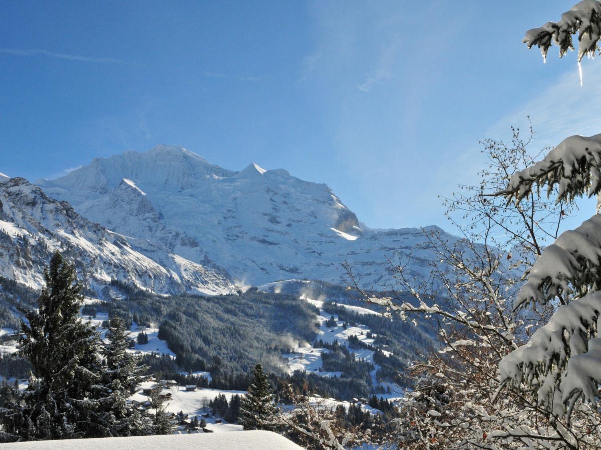 Plein Soleil By Interhome Apartment Wengen